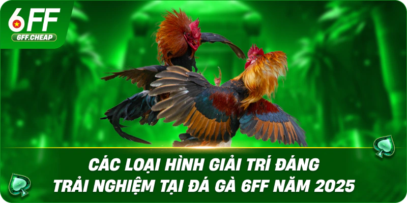Các Loại Hình Giải Trí Đáng Trải Nghiệm Tại Đá Gà 6FF Năm 2025