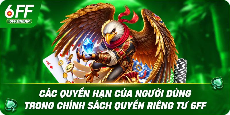 Các quyền hạn của người dùng trong chính sách quyền riêng tư 6FF