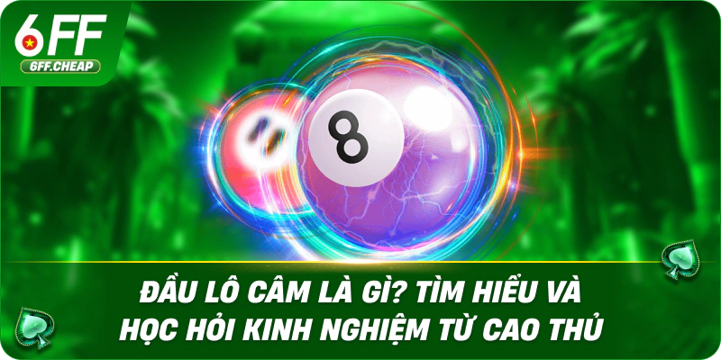 Đầu Lô Câm Là Gì? Tìm Hiểu Và Học Hỏi Kinh Nghiệm Từ Cao Thủ